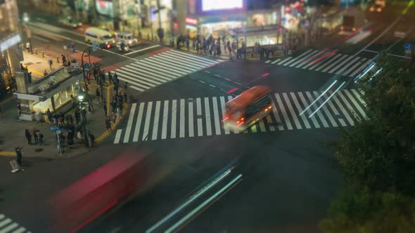 Tokyo Shibuya Crossing