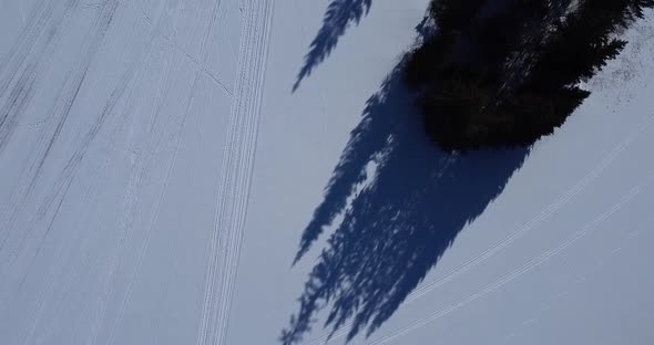 A Topdown Shot Over the Snowy Pine Forest and the Shadows From the Trees alt