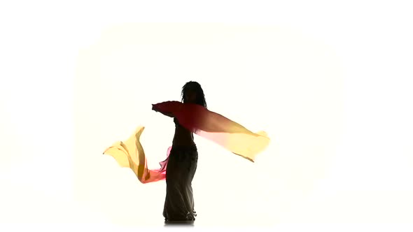Exotic Belly Dancer Girl Dancing with Two Long Fans, Whirl, White, Silhouette, Shadow, Slow Motion alt