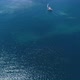 Flight Over Beautiful Seashore at Mallorca - VideoHive Item for Sale