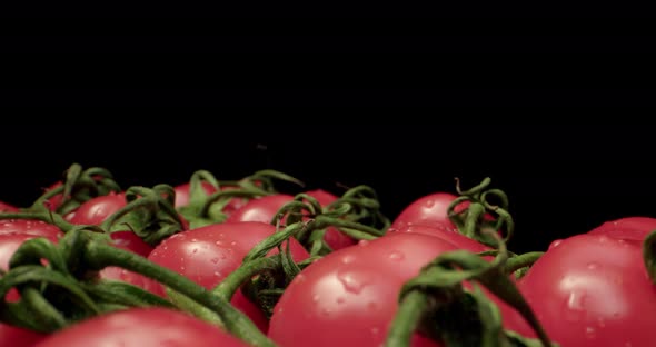 red coktail tomatoes super macro  alt