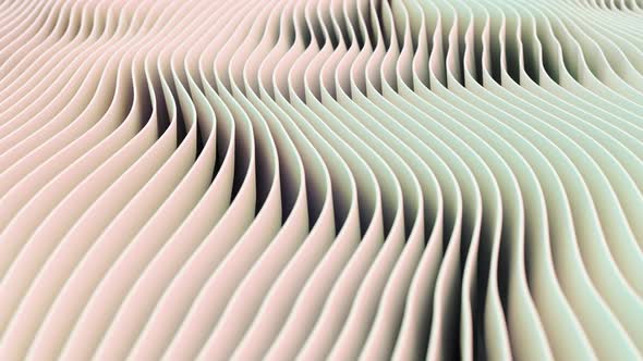 Animation Wave Movements White Geometric Lines