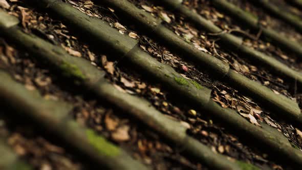 Old Tile Roof with Moss alt