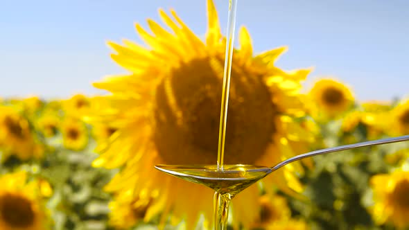 Pouring Sunflower Oil Liquid Into Spoon on Sunflower Background in Slow Motion alt