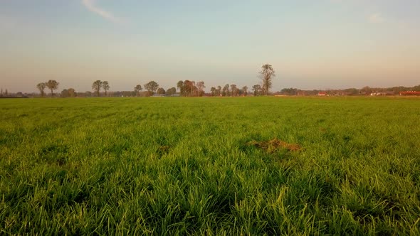 Aerial Cinematic Clip Drone Flying Over a Farm Field During Sunset alt