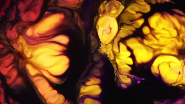 Pattern Colour Paint Liquid Art Concept Texture alt