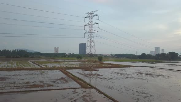 Fly toward electric tower. Asian Openbill stork birds alt