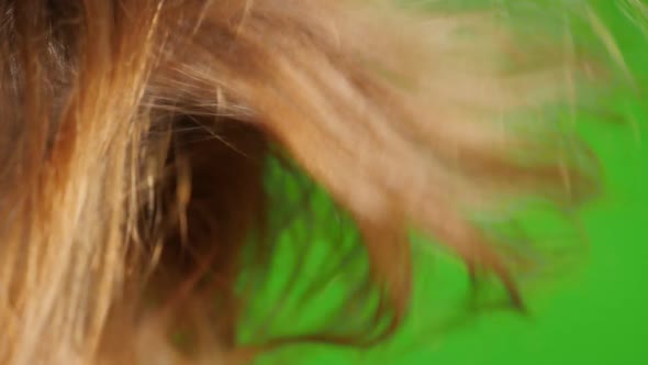 Blond woman air-drying hair in front of green screen slow-mo 1920X1080 HD footage - Hair blow-drying alt
