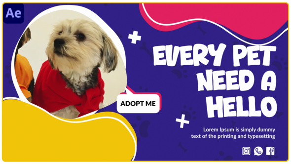 Pets Slideshow Video Displays template preview