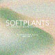 Softplants Gradient Texture Background