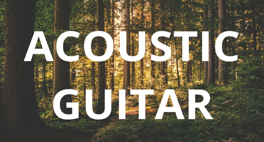 Acoustic Guitar