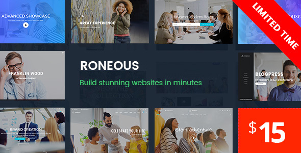 Roneous - Creative Multi-Purpose WordPress Theme