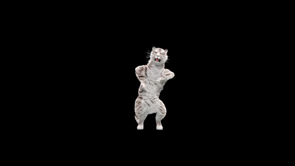 White Tiger Dancing HD alt