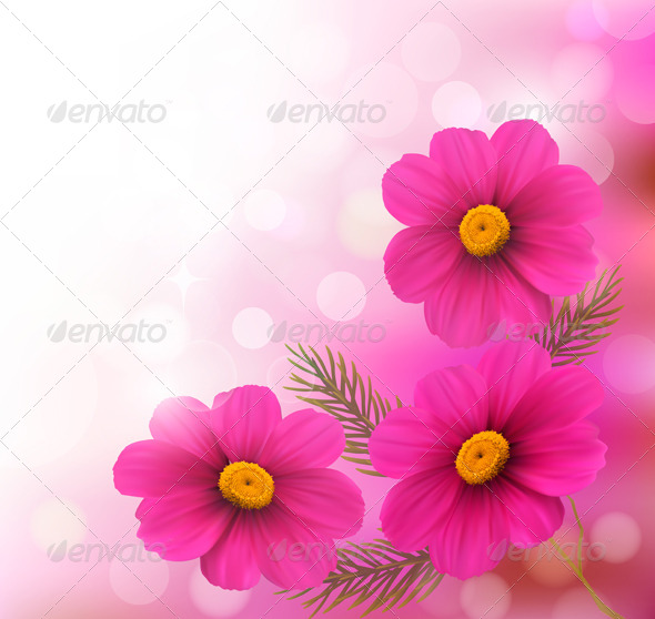 Holiday Background with Three Pink Flowers - Flowers & Plants Nature