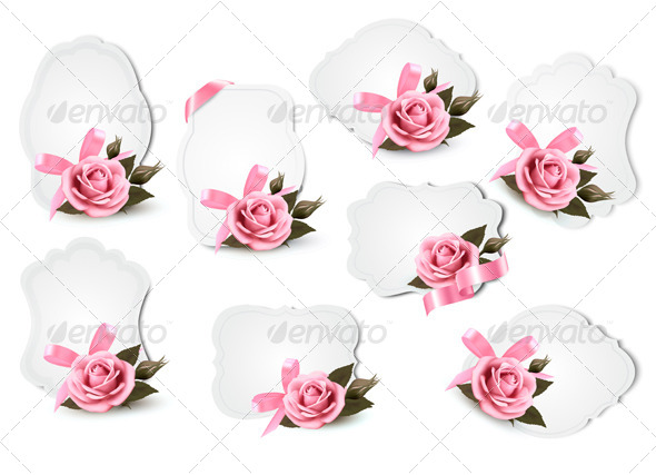 Collection of Holiday Greeting Cards with Pink Roses - Borders Decorative