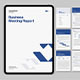 Business Report Template