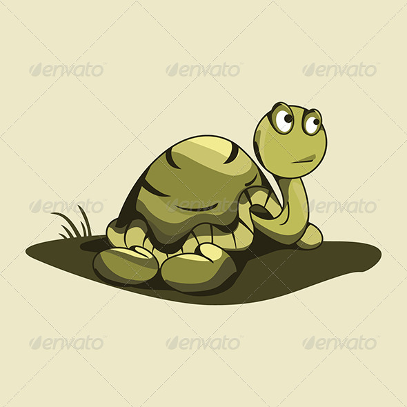 Tortoise - Animals Characters