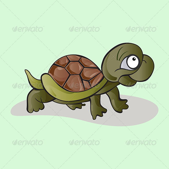 Kid Tortoise - Animals Characters