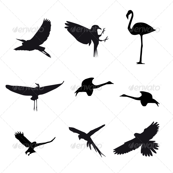 Set of Different Birds - Decorative Symbols Decorative