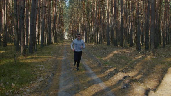 Young Jogger In Beautiful Pine Forest