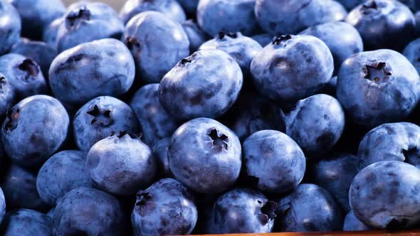 Blueberry Various Colorful Berries Closeup Juicy Ripe Summer Berry alt