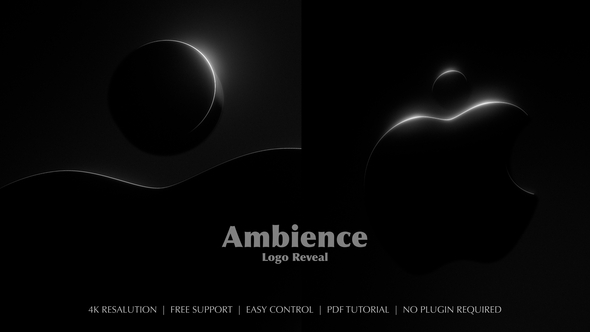 Ambience Logo Reveal Logo Stings template preview