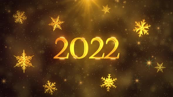 New Year Celebration 2022