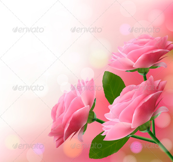 Holiday Background with Three Pink Flowers - Flowers & Plants Nature