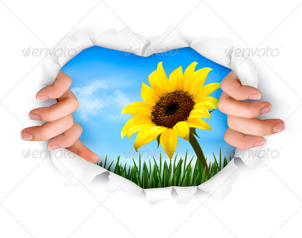 Nature Background with Hands Ripping a Paper - Nature Conceptual