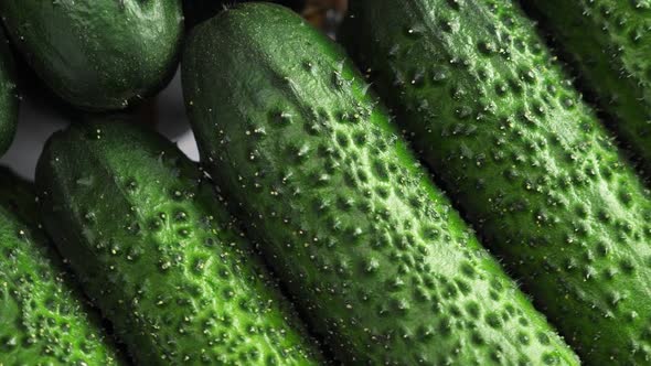 A Lot of Cucumbers. Rotating Vegetables alt