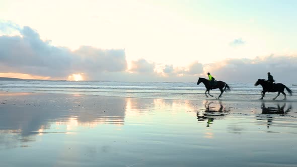 Horses at gallop on the beach at sunset, slow motion