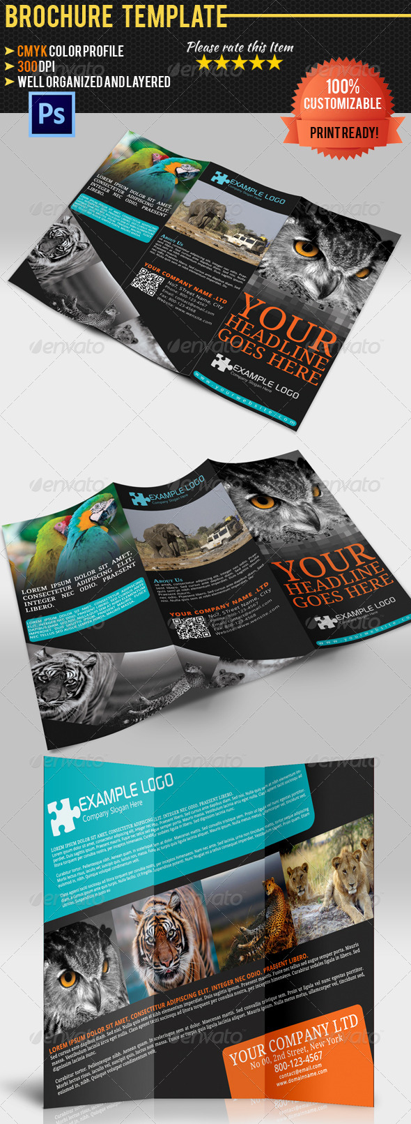 Adventure Travel Brochure Templatre - Brochures Print Templates