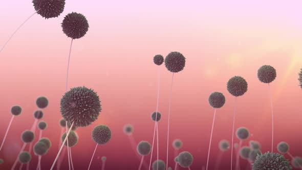 Flower Pastel Color Background 4K