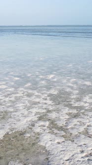 Tanzania  Vertical Video of Low Tide in the Ocean Near the Coast of Zanzibar Slow Motion alt
