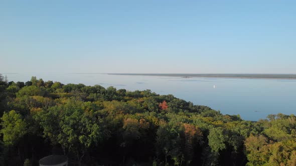 Landscape of a Forest Trees in Front of a Lake alt