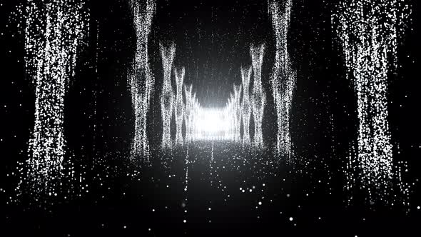 White Particular On Stage Loop alt