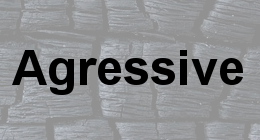 Agressive