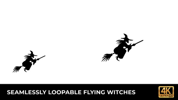Flying Witches Silhouette