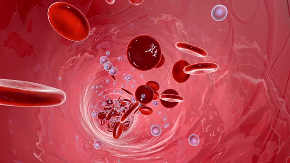 Bloodstream with flowing Erythrocytes and Oxygen