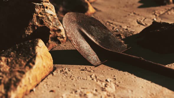Old Rusty Shovel on Wet Sand at the Beach alt