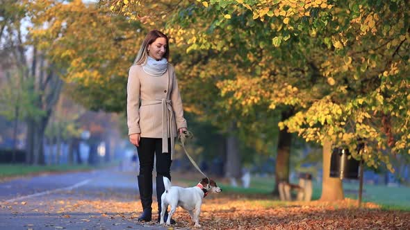young woman walks with his dog through an autumn alley