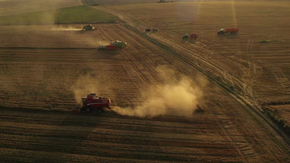 Running Harvesters At Sunset alt