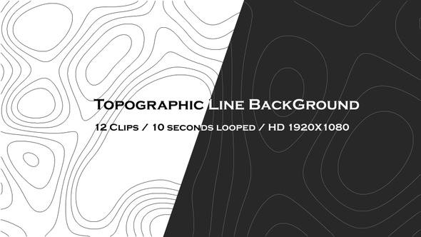 Topographic Line Background