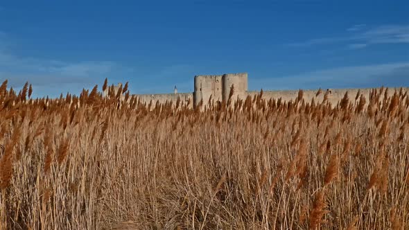 Aigues Mortes, Gard, Occitanie, France alt