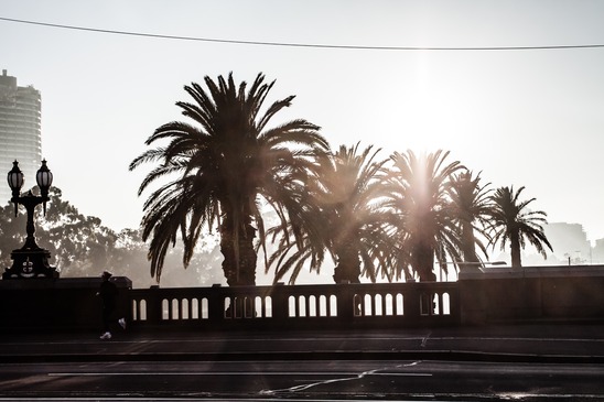 Create a Travel Blog