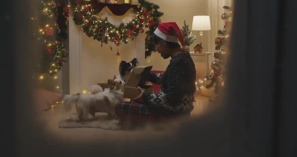 Merry Xmas eve festive unpack pet supply box at home shopping delivery alt