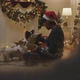 Merry Xmas eve festive unpack pet supply box at home shopping delivery - VideoHive Item for Sale