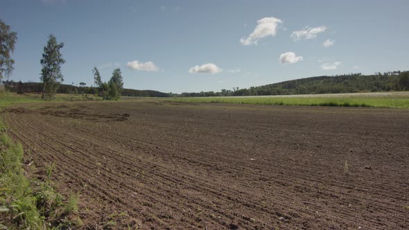 2 MONTH TIMELAPSE of crops growing from seed. Conventional agriculture alt