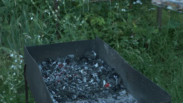 Raw fish on barbecue grill. Family on picnic outside. Woman puts fish on grill on outdoor bbq alt
