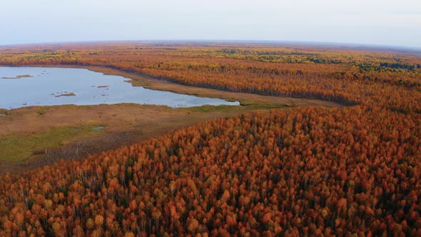 Aerial Top View of Beautiful Lake Surrounded By Colorful Forest in Autumn